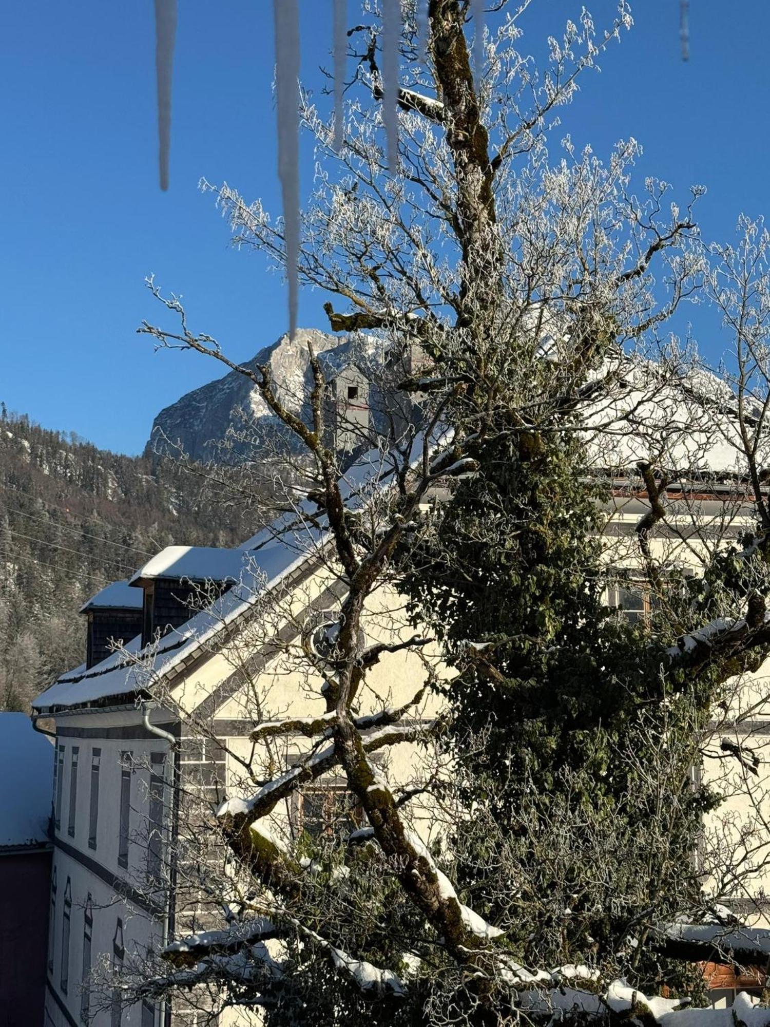 Podenhaus Bad Aussee Eksteriør bilde